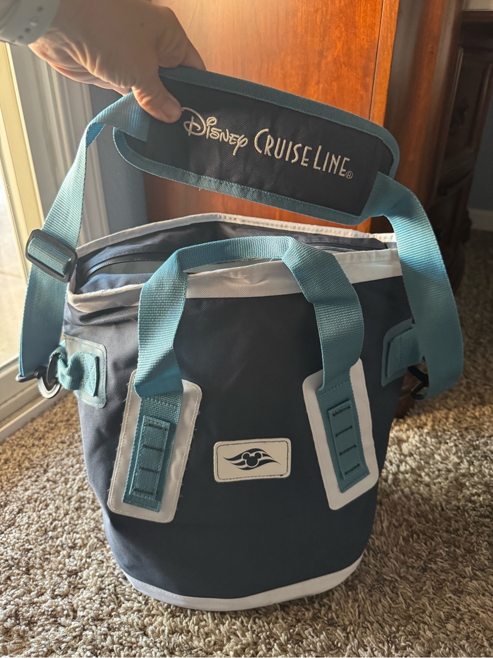 Disney Cruise Line Navy and Teal Canvas Cooler bag shoulder carry